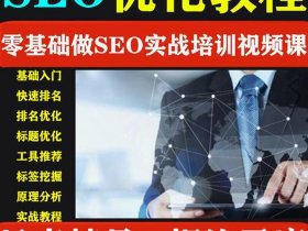 seo基础教程视频；seo基础教程视频在线观看