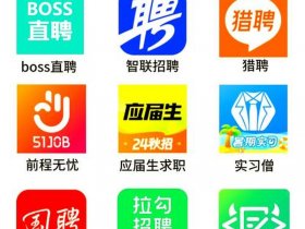 博达软件建站（博达软件招聘）