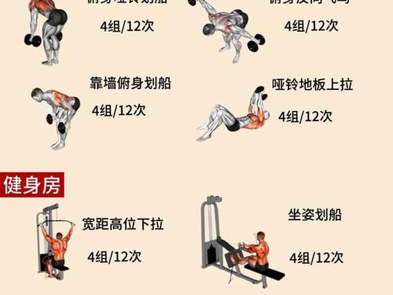 初学者健身房锻炼顺序;初学者健身房锻炼顺序是什么 初学者健身房锻炼顺序;初学者健身房锻炼顺序是什么