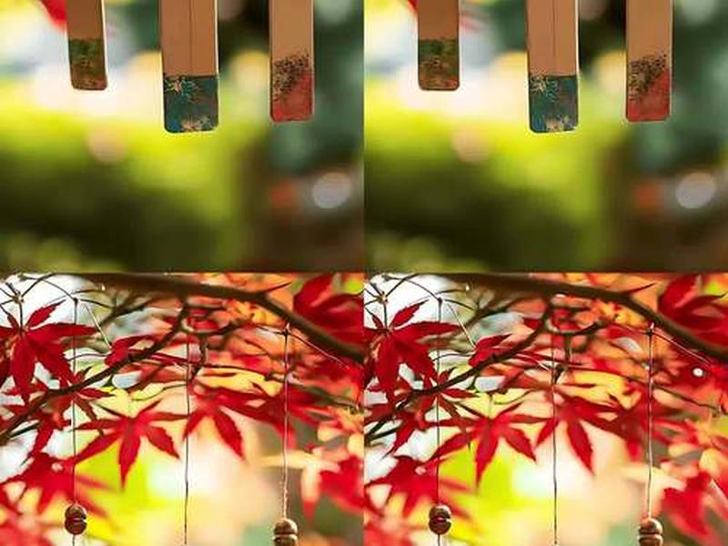 风铃视频app,风铃视频素材无水印 风铃视频app,风铃视频素材无水印