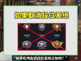吃鸡进队伍怎么取消段位展示、吃鸡进队伍怎么取消段位展示啊