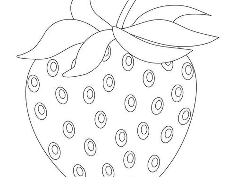 初学者简笔画入门视频（初学者简笔画入门视频教程）