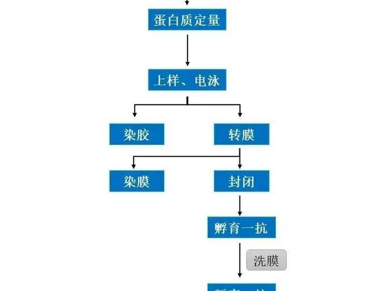 wb起店流程 wb具体流程