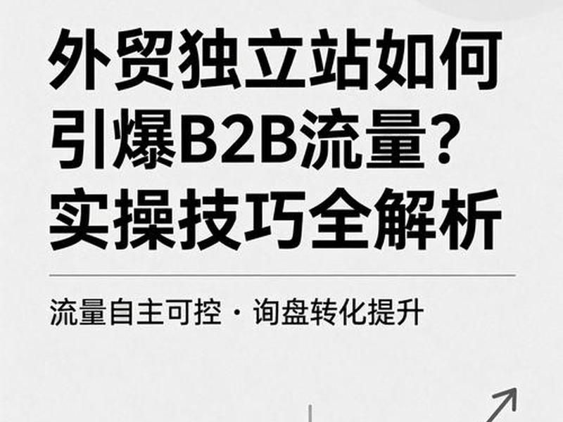 b2b独立站要如何运营 - b2b独立站要如何运营才能赚钱 b2b独立站要如何运营 - b2b独立站要如何运营才能赚钱