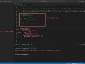 宝塔python服务器搭建教程；宝塔搭建python网站