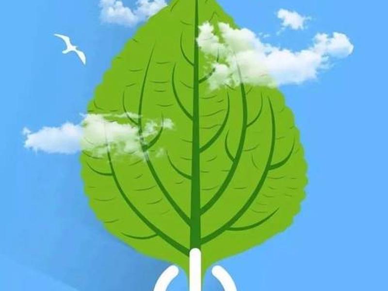 节能环保我建行 - 节能环保你我先行 节能环保我建行 - 节能环保你我先行