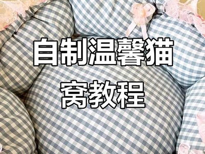 建造猫窝的视频 - 建造猫窝的视频教程