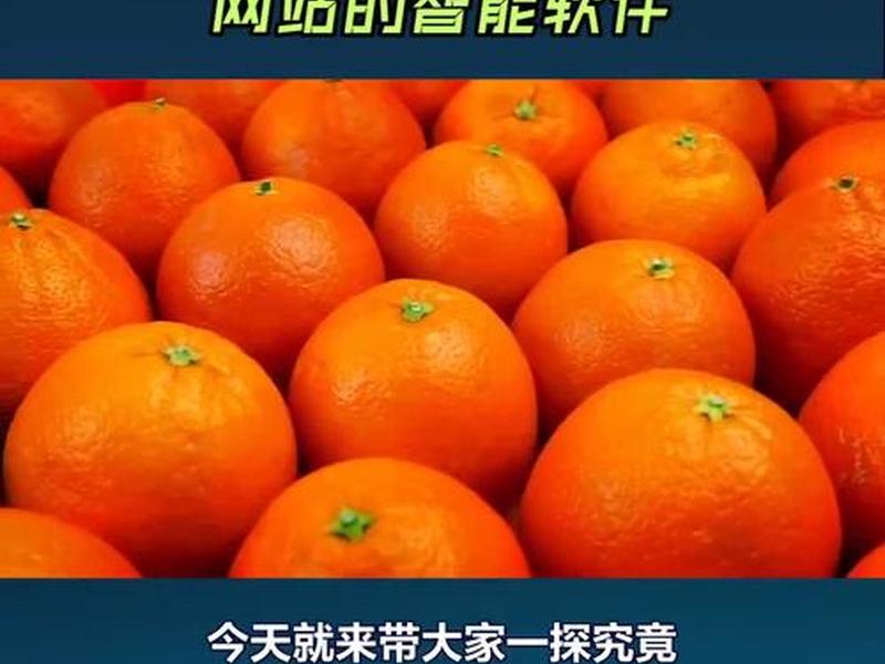 挂链接橙子建站视频教程;橙子建站跳转链接 挂链接橙子建站视频教程;橙子建站跳转链接