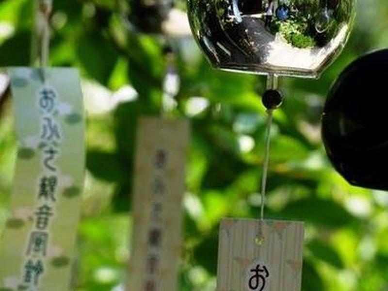 风铃平台是什么(风铃平台是什么软件) 风铃平台是什么(风铃平台是什么软件)