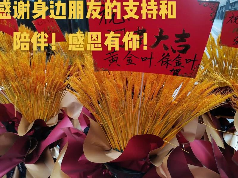 聚云客引流是真的吗;聚云商城是不是真的假的 聚云客引流是真的吗;聚云商城是不是真的假的