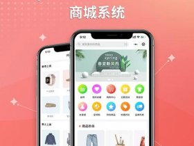 opencart支付插件，opencart支付插件开发