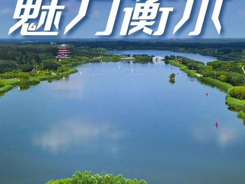 衡水微生活公众号 - 衡水微信公众号 衡水微生活公众号 - 衡水微信公众号