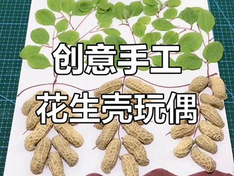 花生壳本地建站教程、利用花生壳建个人网站