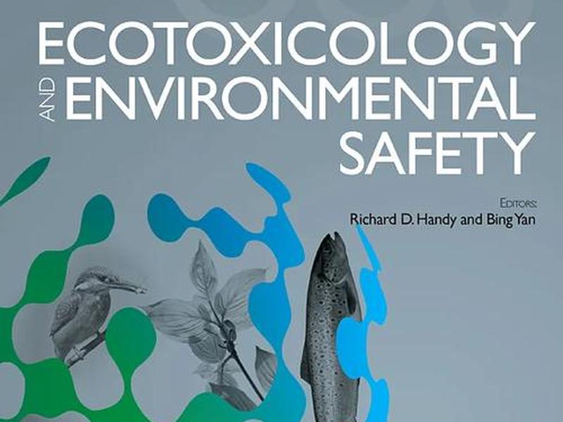 ecshop.ecoring