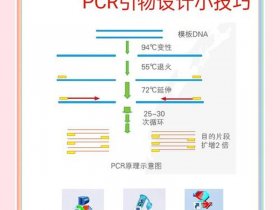 joomla建站流程；joomla建站教程