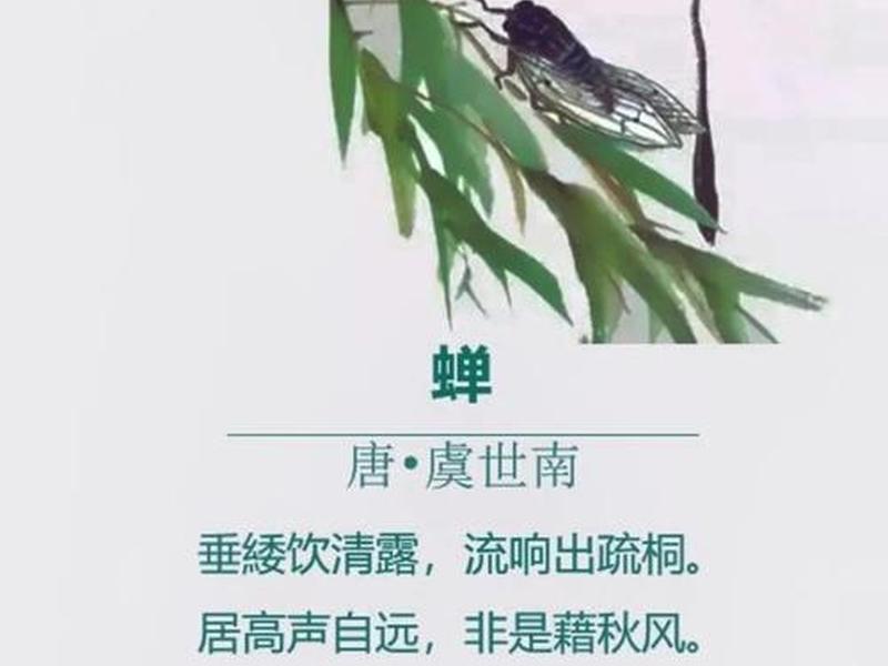 蝉知写作风格(蝉这首诗在写作上有什么特点) 蝉知写作风格(蝉这首诗在写作上有什么特点)