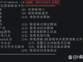 linux宝塔面板命令 宝塔 linux 面板