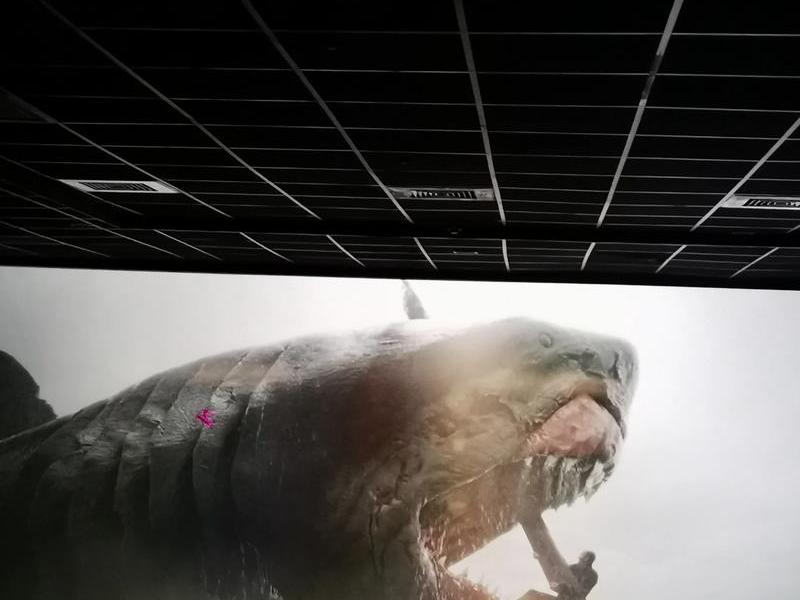 shark attack - shark attack2