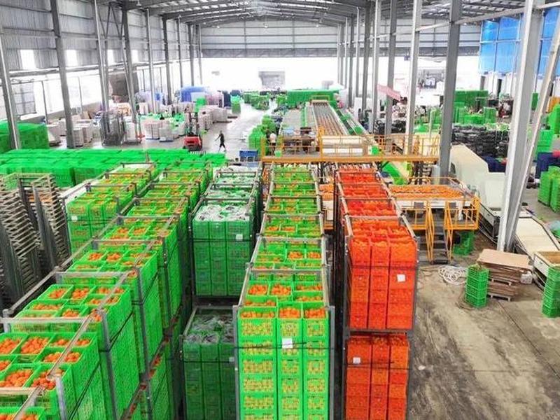 大理外贸 大理外贸最新消息今天 大理外贸 大理外贸最新消息今天
