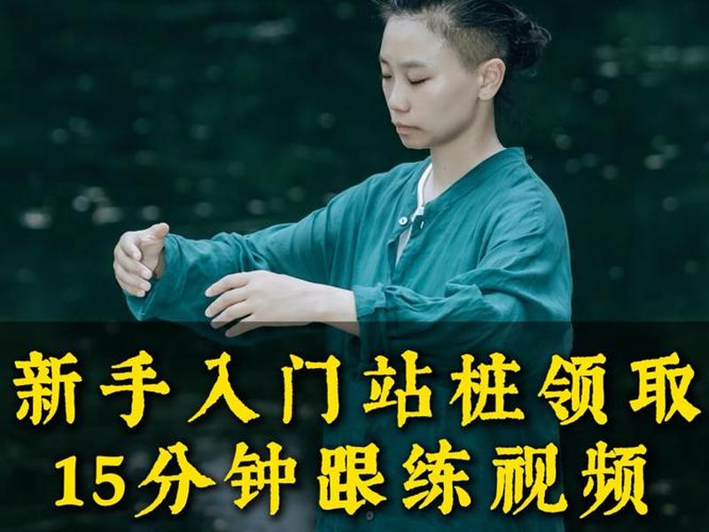 初学站桩视频 初学站桩的正确方法视频 初学站桩视频 初学站桩的正确方法视频