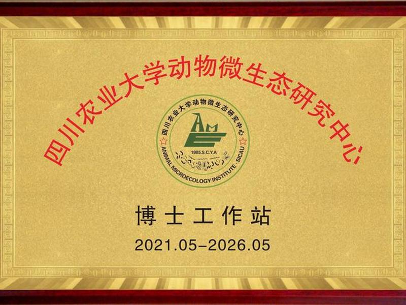博士站怎样建立、公司怎么建立博士站