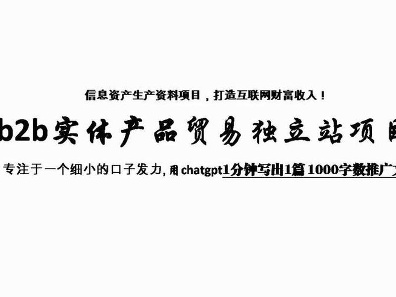 独立站b2b(独立站b2c) 独立站b2b(独立站b2c)