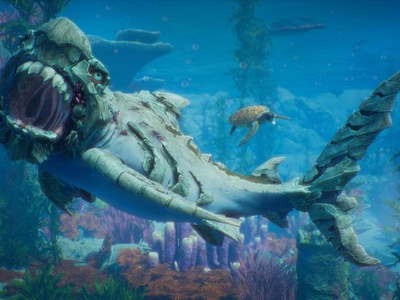 shark system shark system