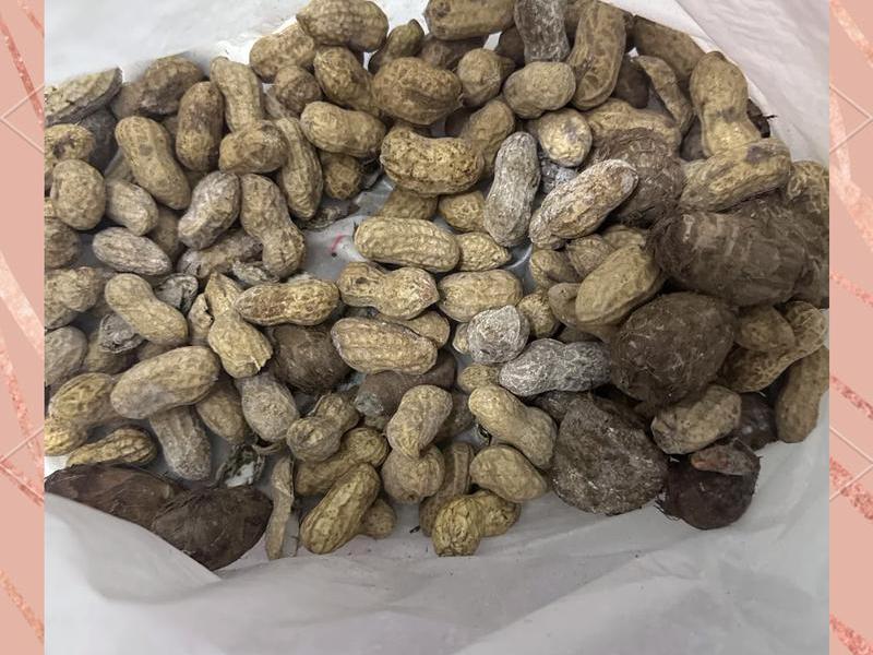 花生壳ftp 花生壳发霉了里面的花生能吃吗 花生壳ftp 花生壳发霉了里面的花生能吃吗