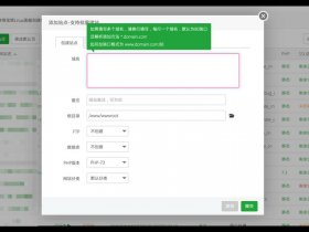 宝塔一键部署你添加域名已存在 宝塔一键部署域名怎么填