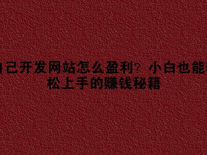 建网站赚钱方法(建网站赚钱方法是什么) 建网站赚钱方法(建网站赚钱方法是什么)