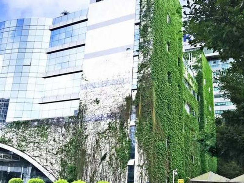 国微技术怎么样;国微电子怎么样 国微技术怎么样;国微电子怎么样