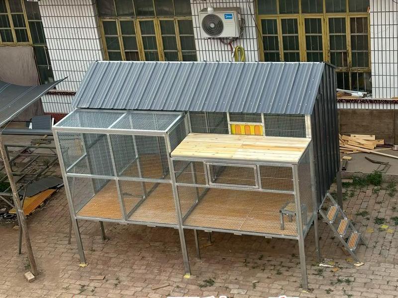 鸽棚怎么搭建合理 - 鸽棚怎么搭建合理一点 鸽棚怎么搭建合理 - 鸽棚怎么搭建合理一点