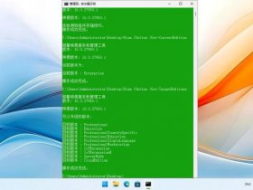 win10系统移动版、win10移动版最新版本