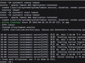 tomcat部署web项目（tomcat部署web项目后为啥访问不到）