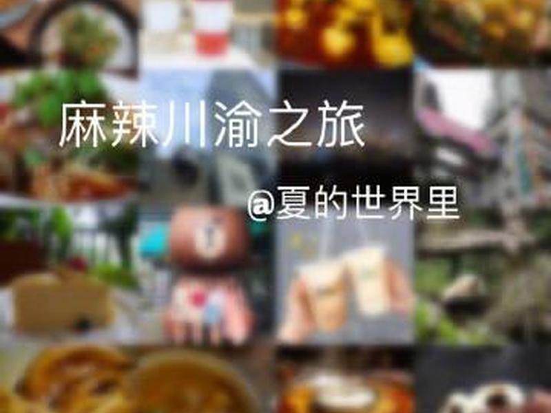 橙子头条账号(橙子头条账号注册) 橙子头条账号(橙子头条账号注册)