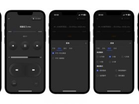 wordpress的浮窗播放器；wordpress 悬浮音乐播放器