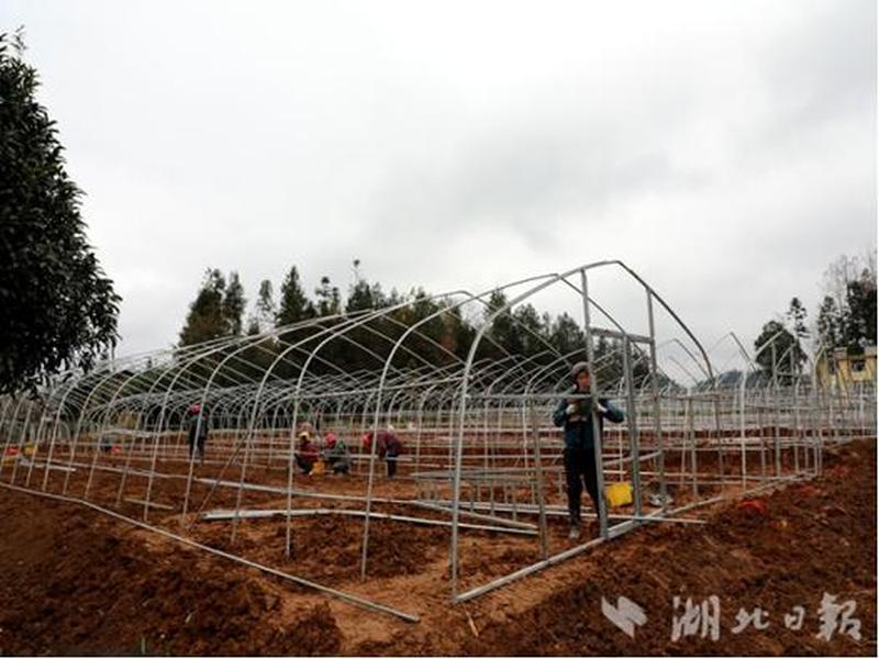 恩施建大棚 - 恩施大棚搭建 恩施建大棚 - 恩施大棚搭建