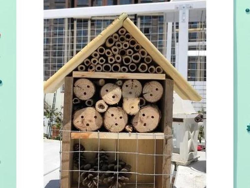刺猬窝箱搭建方法 - 刺猬窝箱搭建方法图解 刺猬窝箱搭建方法 - 刺猬窝箱搭建方法图解