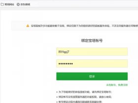 宝塔windows面板下载，宝塔面板windows专业版破解