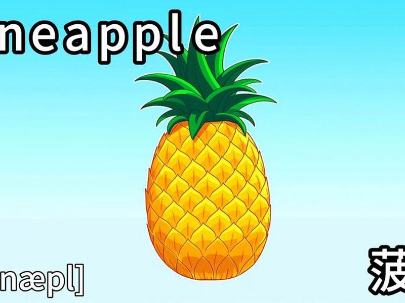 pineapple什么意思、pineapple是什么意思译