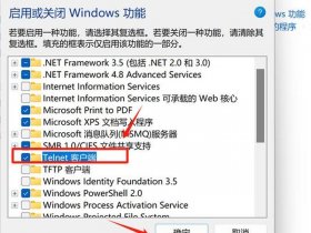 win2008如何设置网站、win server2008怎样设置网络