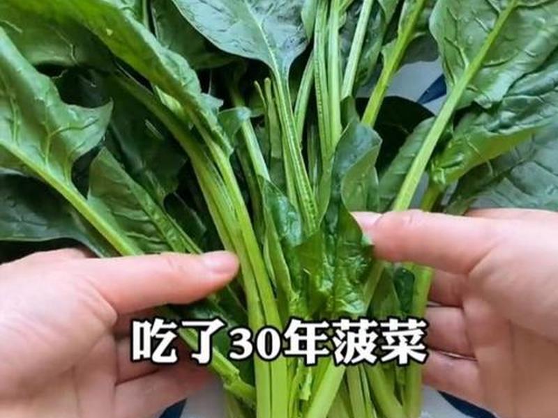 菠菜开发是什么 菠菜开花是什么样子 菠菜开发是什么 菠菜开花是什么样子