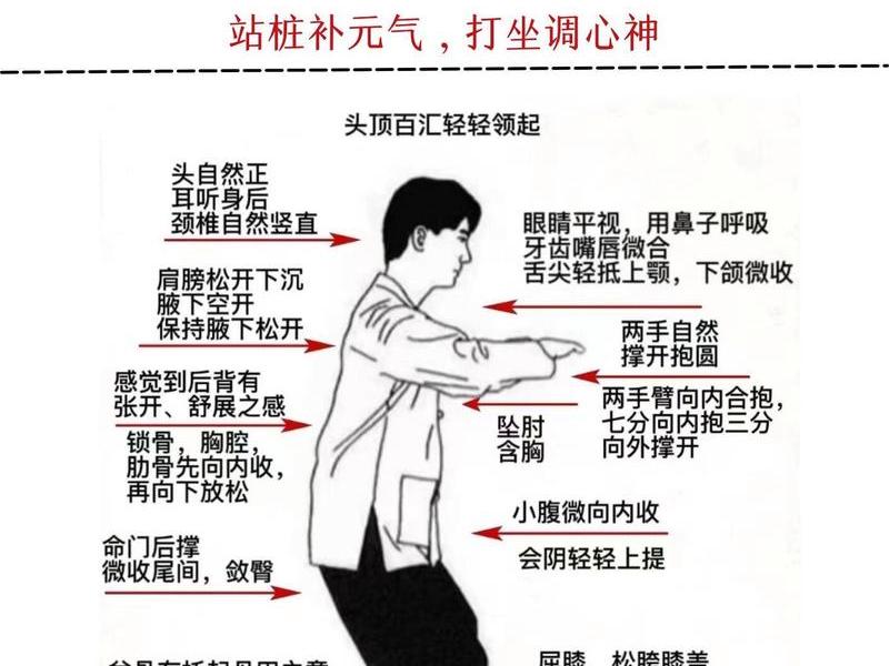 初学站桩的正确方法视频教程,初学站桩的正确方法视频教程全集 初学站桩的正确方法视频教程,初学站桩的正确方法视频教程全集