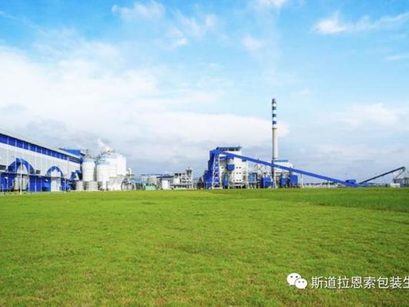 建造纸厂需要哪些地理条件；建造纸厂需要哪些地理条件呢