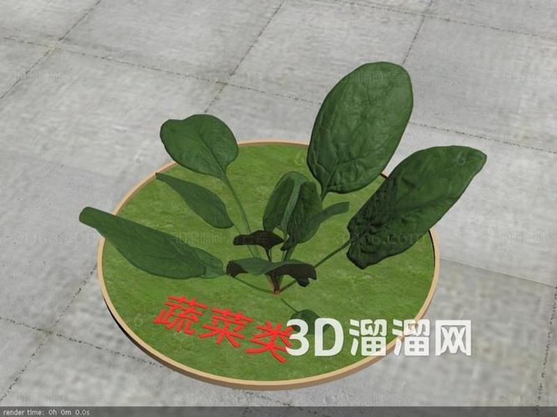 菠菜模板合集、菠菜模型 菠菜模板合集、菠菜模型
