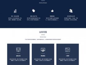 mip网站建设公司（专业的网站建设公司）