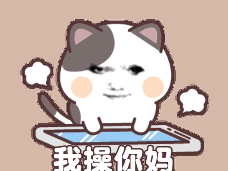 动态 动态