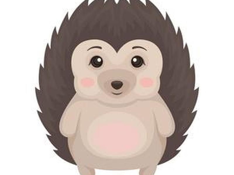 刺猬软件、刺猬是什么软件 刺猬软件、刺猬是什么软件