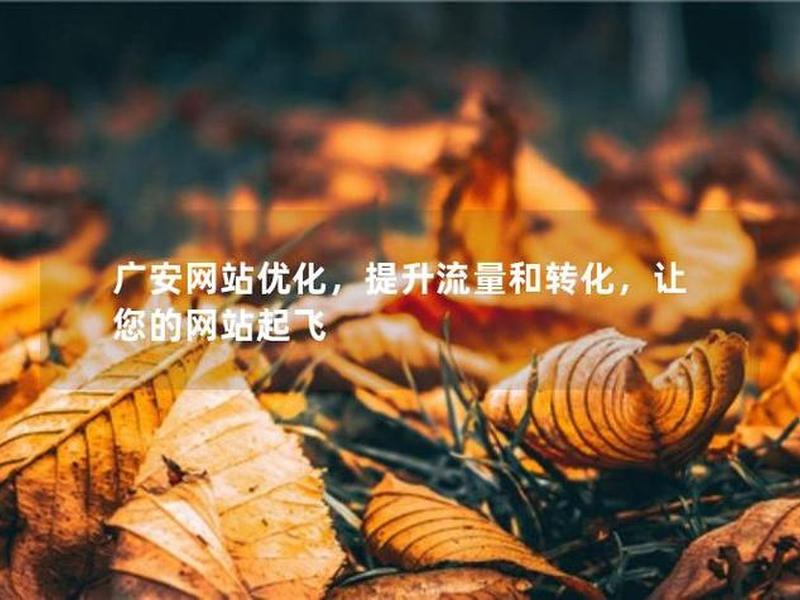 广安seo公司、广安seo外包公司 广安seo公司、广安seo外包公司