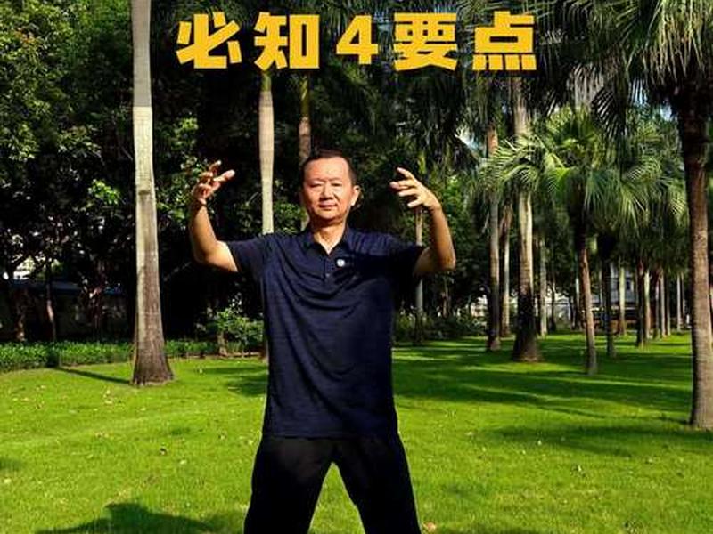 基础站桩法,基础站桩心法 基础站桩法,基础站桩心法